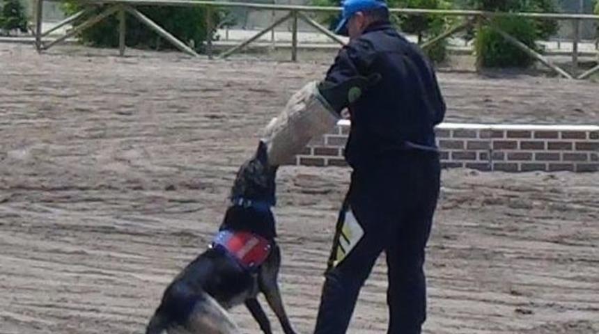 Nevşehir&rsquo;De, Jandarma'nın 176. Kuruluş Yıl D&ouml;n&uuml;m&uuml; Kutlandı