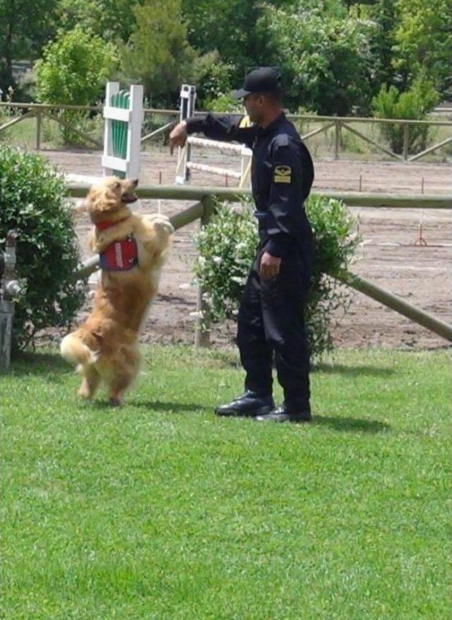 Nevşehir&rsquo;De, Jandarma nın 176. Kuruluş Yıl D&ouml;n&uuml;m&uuml; Kutlandı 2