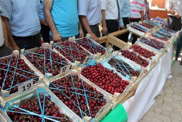 Yeşilyurt Kiraz Festivali Sona Erdi