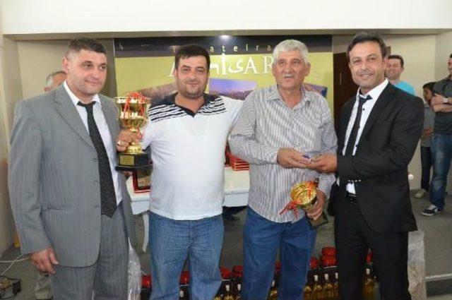 Akhisar da En G&uuml;zel G&uuml;vercinler Se&ccedil;ildi 3