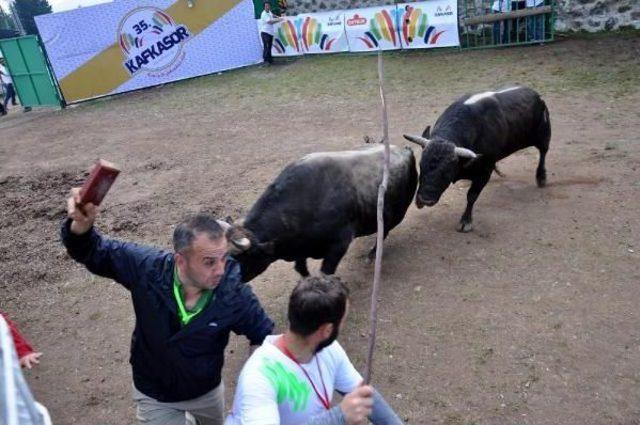 Kafkas&ouml;r&rsquo;De Boğalar Arenada, Seyirciler Trib&uuml;nde Kapıştı 2