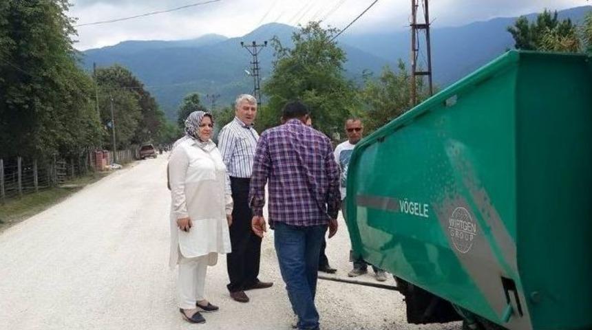 &Ccedil;ınarlı K&ouml;y&uuml; Yol &Ccedil;alışmaları Başladı