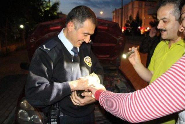 Otomobilin Motoruna Giren Yavru Kediyi Polis Çıkardı