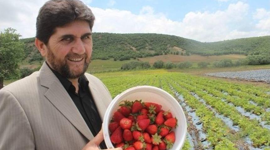 Derbent&rsquo;te Organik &Ccedil;ilek &Ccedil;ift&ccedil;inin Y&uuml;z&uuml;n&uuml; G&uuml;ld&uuml;rd&uuml;