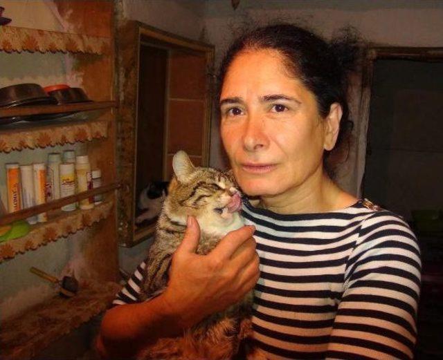 Evinde 200 Kedi Ve 20 Köpeğe Bakıyor 1