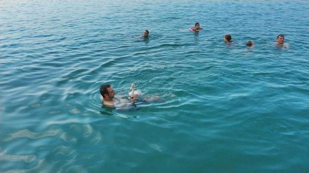 (&ouml;zel Haber) &Ouml;rdek İle Dostluğu G&ouml;renleri Şaşırtıyor