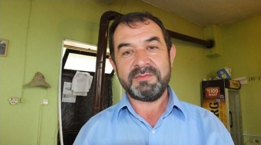 Burhaniye&rsquo;de Kırlangı&ccedil;lar Kahvehanenin Konuğu Oldu