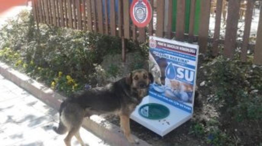 Orhangazi Belediyesi&rsquo;nden Hayvan Barınağı