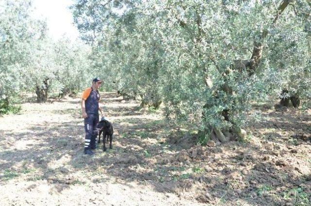 Kayıp Emlakçı Kadını Aramaya, Giysileri Koklatılan Köpek De Katıldı