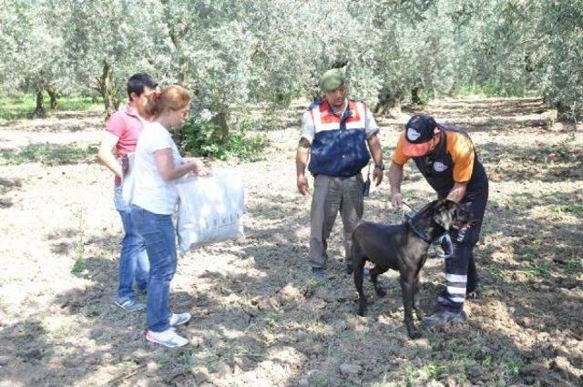 Kayıp Emlakçı Kadını Aramaya, Giysileri Koklatılan Köpek De Katıldı