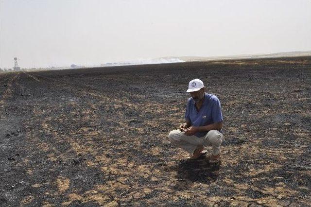 Ziraat Odası’ndan ’anız Yakmayın’ Çağrısı