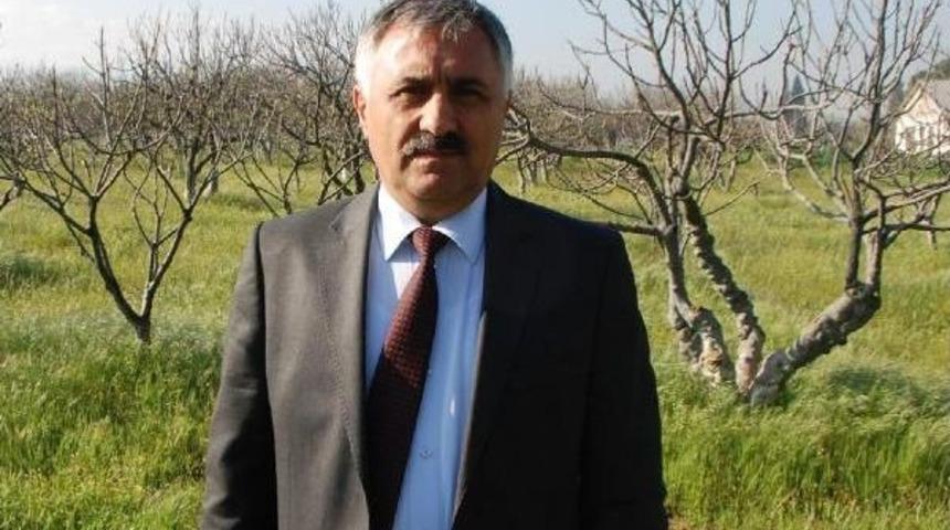 Hava Şartlarının Vurduğu 'ilek' El Yakıyor