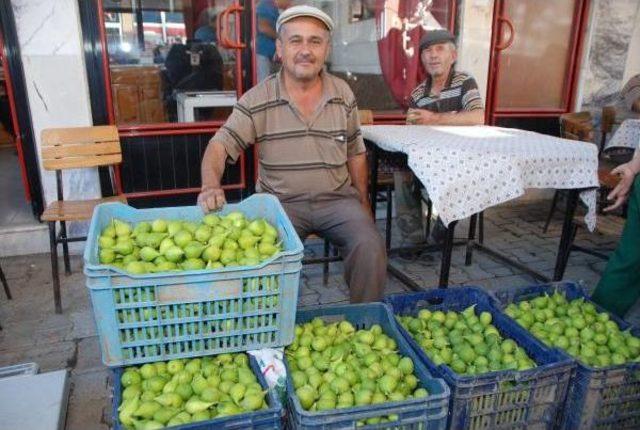 Hava Şartlarının Vurduğu 'ilek' El Yakıyor