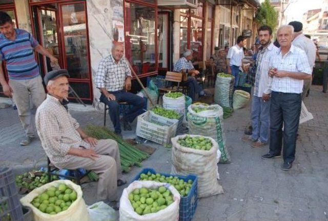 Hava Şartlarının Vurduğu 'ilek' El Yakıyor