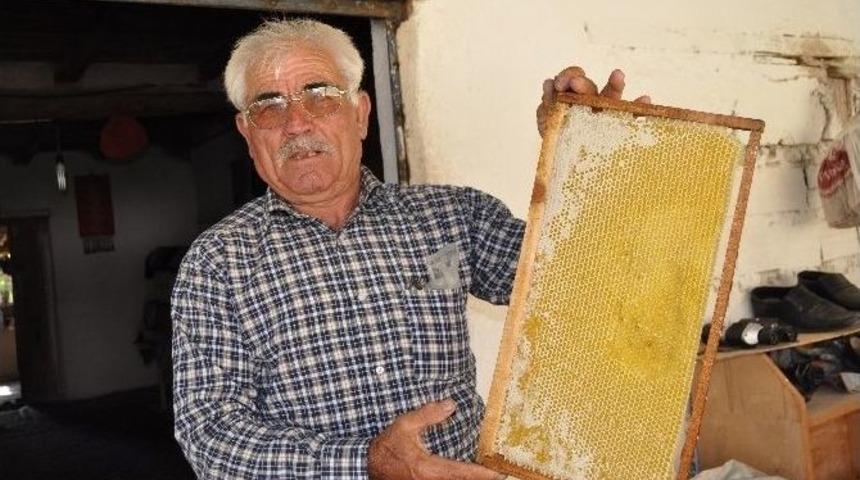 -imecikli Balcılar Bu Yıl Mutlu