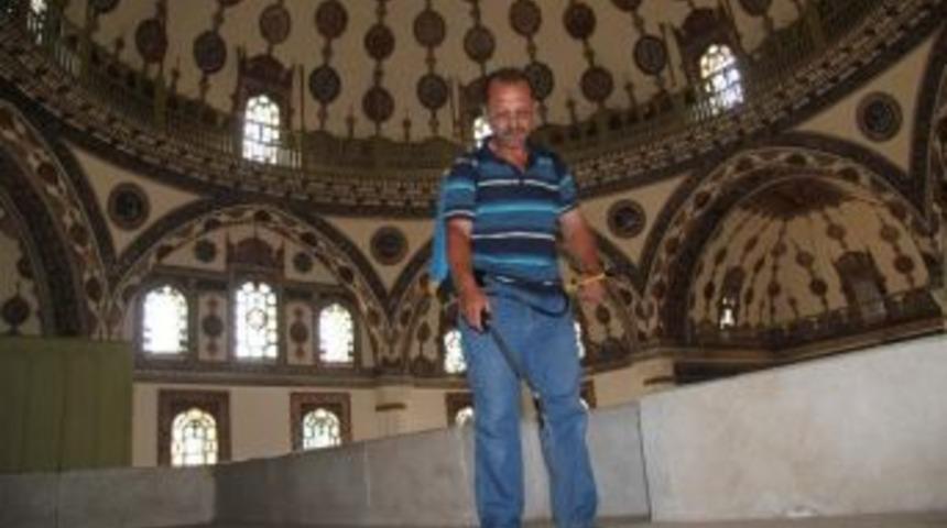 Camiler G&uuml;l Kokacak