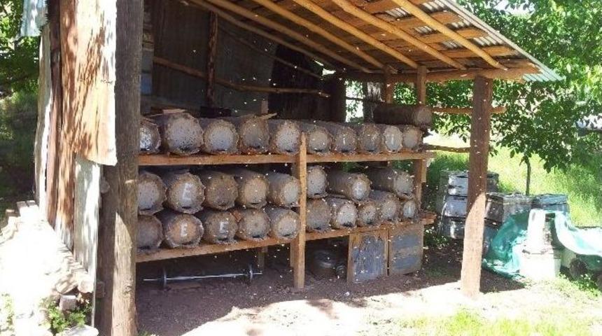 Eski Usul İle Tamamen Organik Bal &Uuml;retiyor