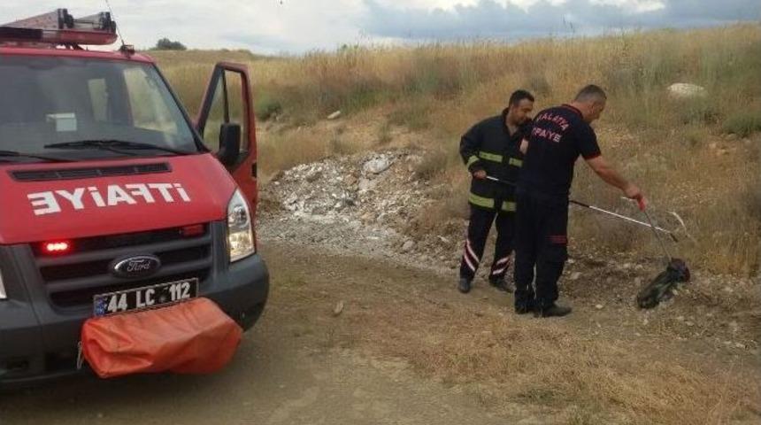 İş Yerine Giren Yılan Paniğe Neden Oldu