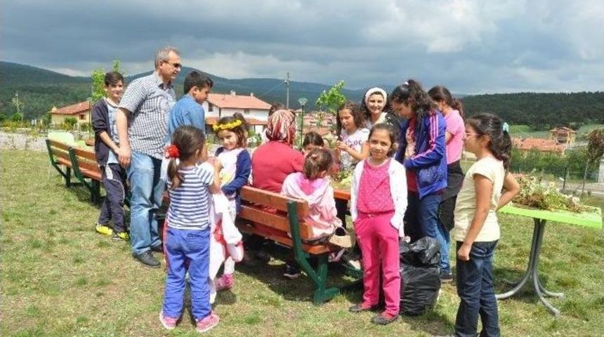 Engelliler Niksar Kampingde Eğlendi