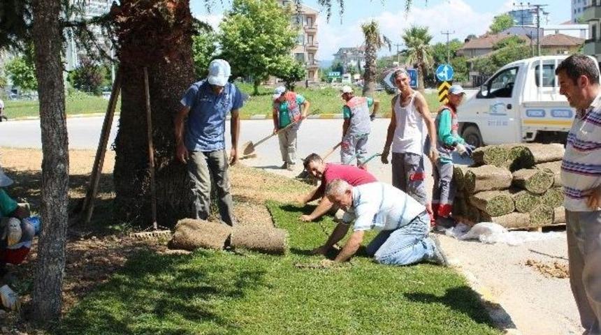 Ak&ccedil;akoca Belediyesi &Ccedil;evre D&uuml;zenine &Ouml;zen G&ouml;steriyor