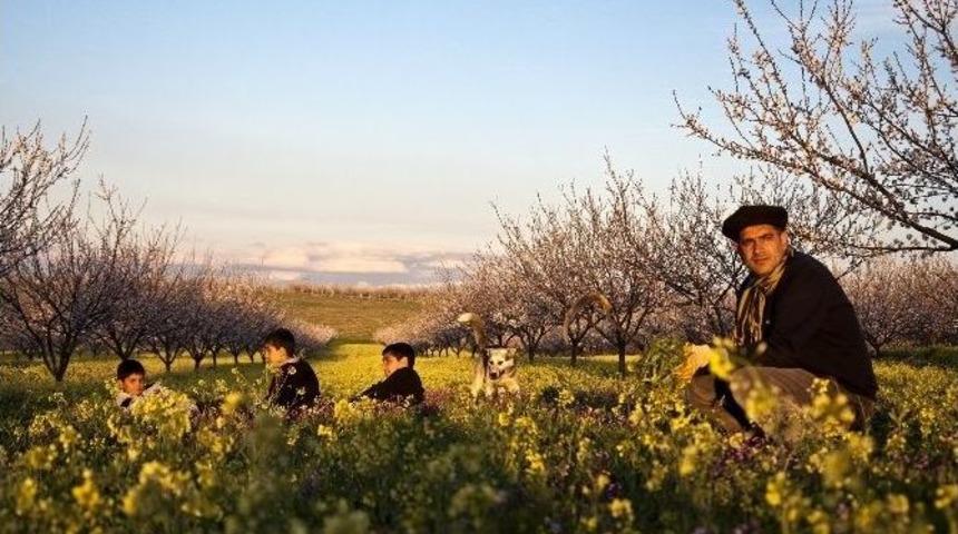 "yeşilyurt Her Mevsim G&uuml;zel" İlkbahar Fotoğraf Yarışması Tamamlandı
