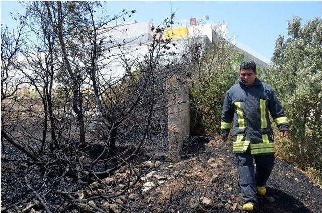 Kaplumbağayı İtfaiye Eri Kurtardı 1