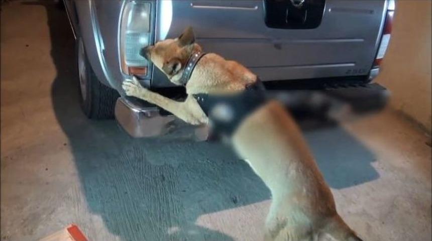 Şanlıurfa&rsquo;da 42 Kilo Esrar Maddesi Ele Ge&ccedil;irildi