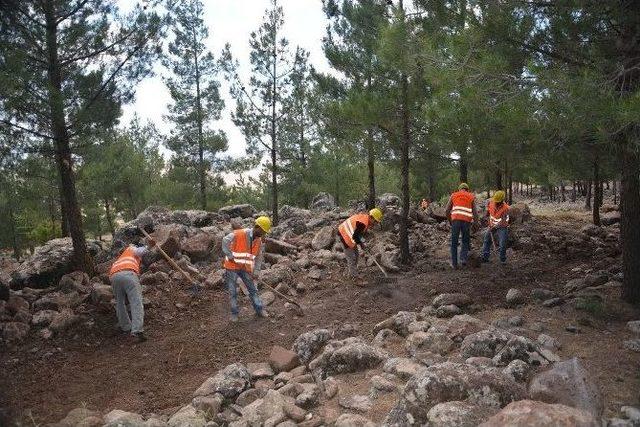 Başkan Kara, Resul Osman Dağı Mesire Alanında İncelemelerde Bulundu