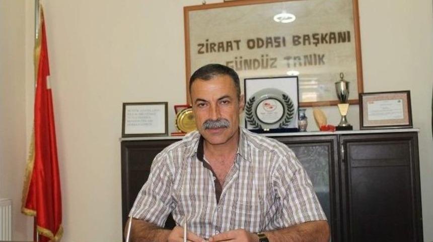 Siirt&rsquo;te Yaz Yağmurları Sıcak Havayı Yumuşattı