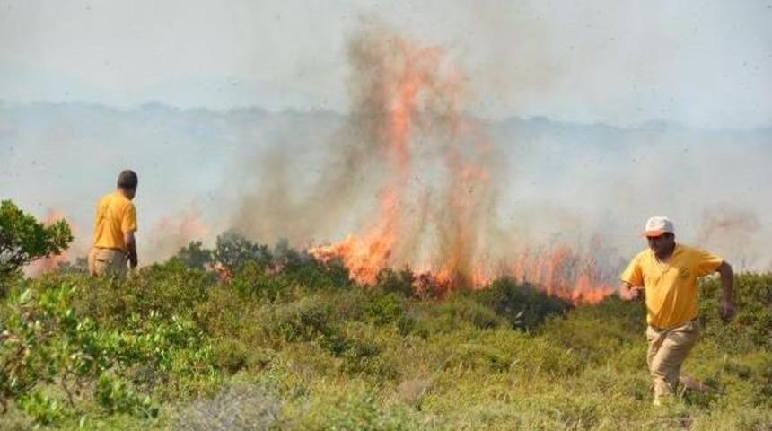 Didim'de Makilik Alanda Yangın &Ccedil;ıktı