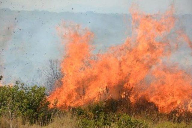 Didim de Makilik Alanda Yangın Çıktı 1
