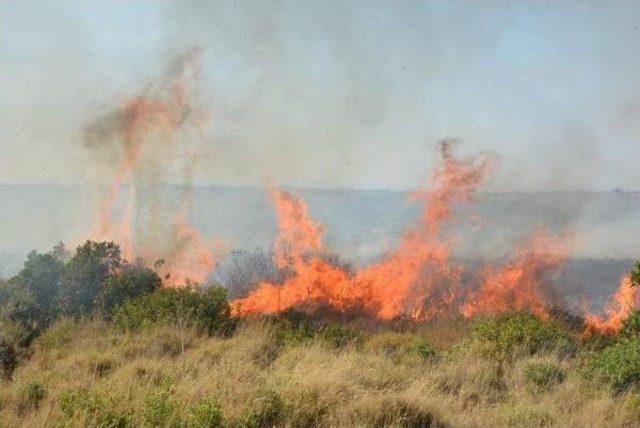 Didim de Makilik Alanda Yangın Çıktı 2
