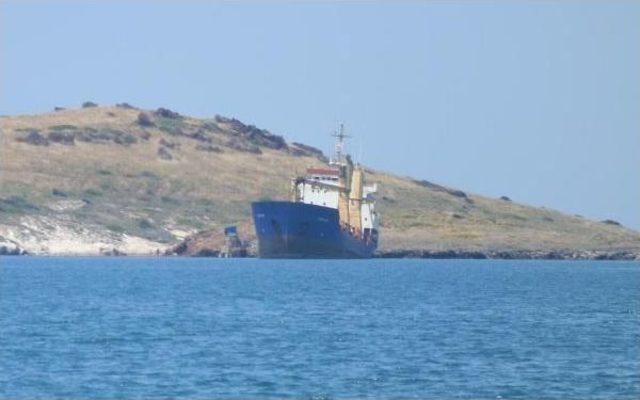 Foça nın Bodyer Kabusu Bitti 3