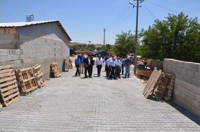 Vali Tapsız, Köylerde İncelemelerde Bulundu 1
