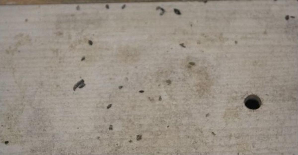 Salihli&rsquo;de Zabıtadan Fırınlara Gece Baskını