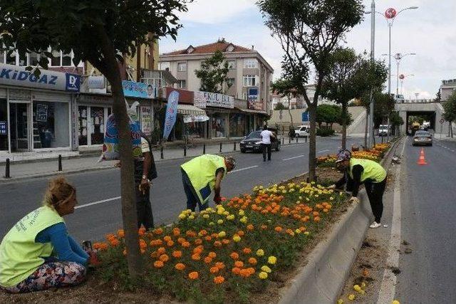 Büyükçekmece’yi Kadın İşçiler Güzelleştiriyor