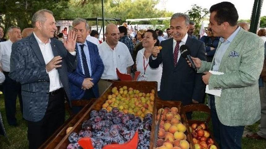 Adana&rsquo;da Meyve Bayramı