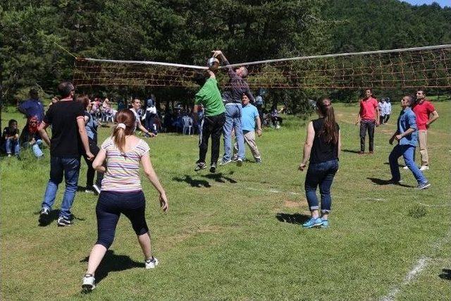 Ko-mek Ailesi Yılsonu Pikniğinde Buluştu