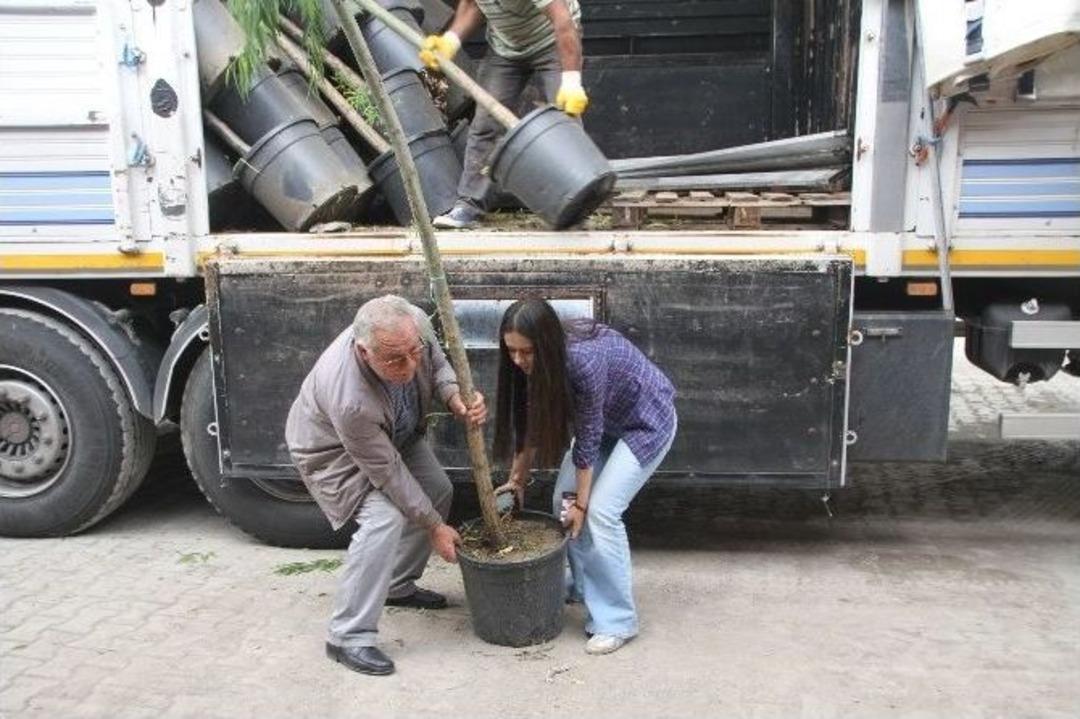 Diyadin&rsquo;de Fidan Dikim &Ccedil;alışmaları