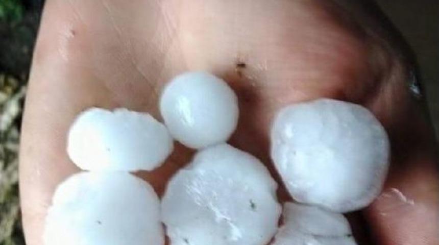 Bursa'da Ceviz Büyüklüğünde Dolu Ekili Alanlara Zarar Verdi