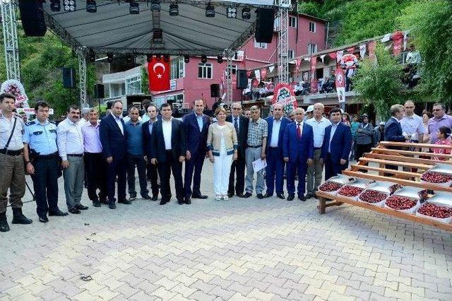 Saimbeyli Kültür Sanat Ve Kiraz Festivali