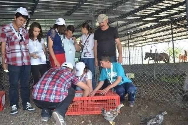 Balıkesir’den Avrupa’ya Fikir İhracatı