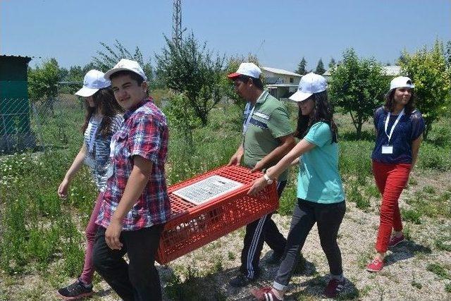 Balıkesir’den Avrupa’ya Fikir İhracatı