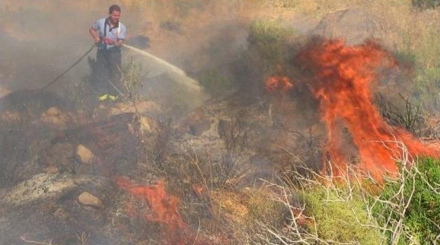 Bodrum&rsquo;da &Ouml;rt&uuml; Yangını Zeytinlere Sı&ccedil;ramadan S&ouml;nd&uuml;r&uuml;ld&uuml;