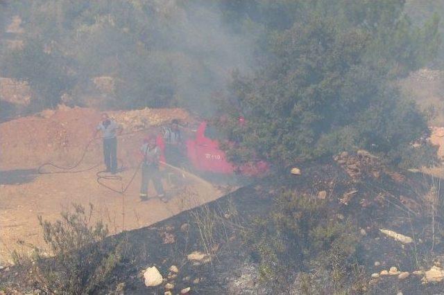 Bodrum’da Örtü Yangını Zeytinlere Sıçramadan Söndürüldü