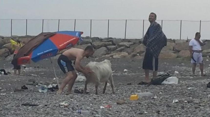 Ke&ccedil;inin &rsquo;inatlaşma&rsquo; Oyunu