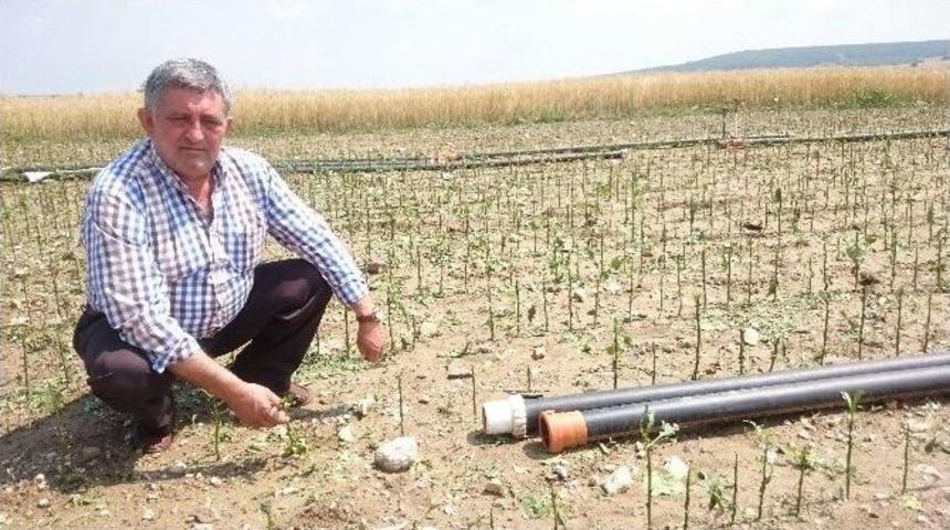 Dolu Yağışının Ardından Hasar Tespiti Yapılıyor