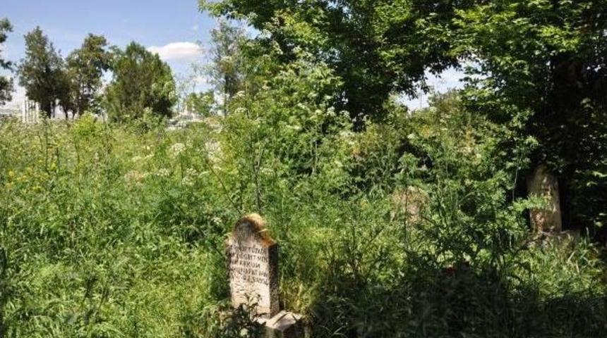 Mezarlığı Ot Kapladı, Mezarlar G&ouml;r&uuml;nm&uuml;yor