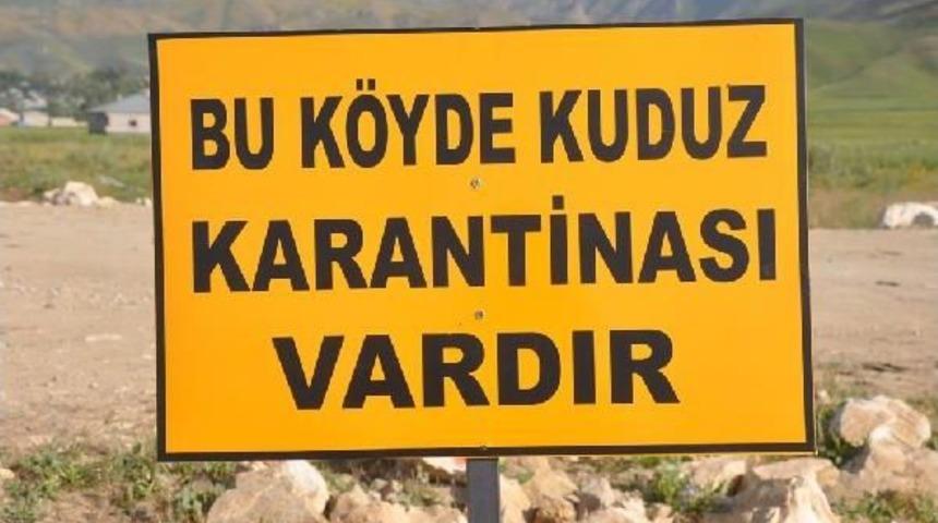 Y&uuml;ksekova'da 2 K&ouml;ye Kuduz Karantinası