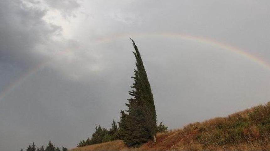 Yaz Sıcağında G&ouml;kkuşağı